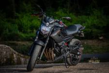 Jérémie MOLARO - F & F PHOTOGRAPHIE