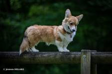 Jérémie MOLARO - F & F PHOTOGRAPHIE