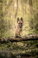 Thomas DEROISSART - SPARCK PHOTOGRAPHIE