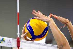 Julien SESIA - Julien-Sésia-Photographie©