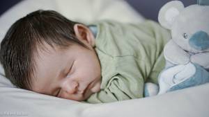 Richard LECLUZE - LECLUZE RICHARD